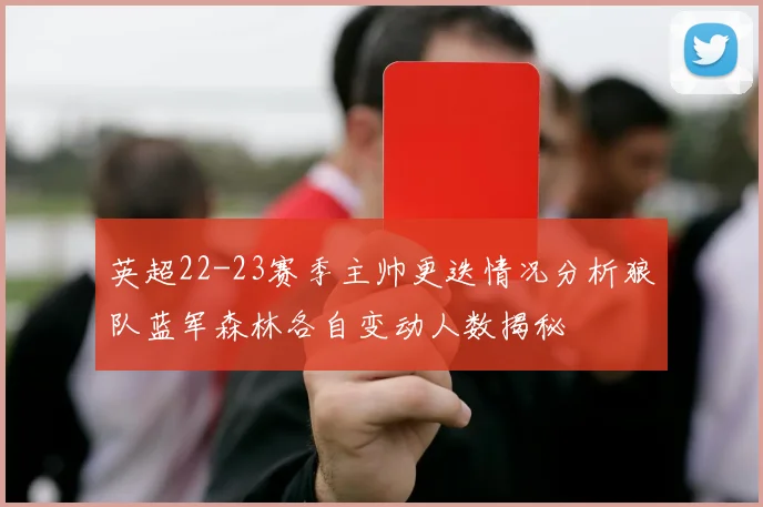 英超22-23赛季主帅更迭情况分析狼队蓝军森林各自变动人数揭秘
