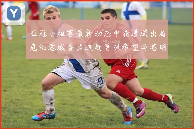 亚冠小组赛最新动态申花遭遇出局危机蓉城奋力追赶晋级希望海港明日迎战挑战