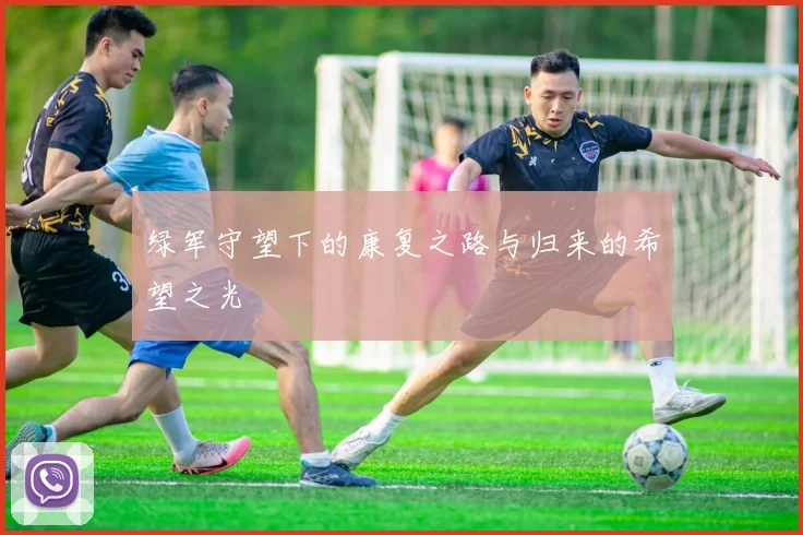 绿军守望下的康复之路与归来的希望之光