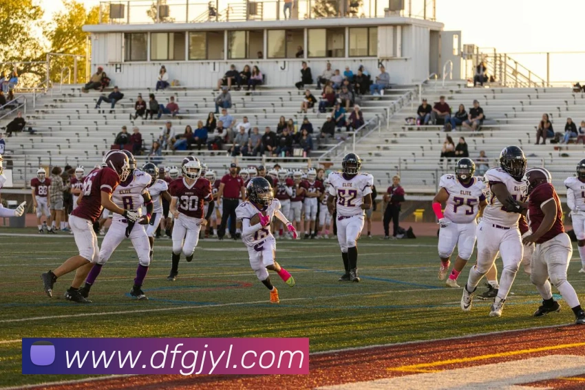 巅峰国际娱乐平台生态图